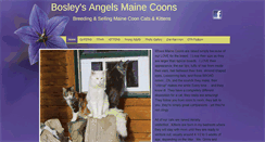 Desktop Screenshot of bosleysangelsmainecoons.com