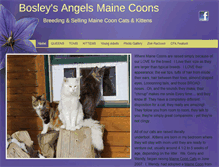 Tablet Screenshot of bosleysangelsmainecoons.com